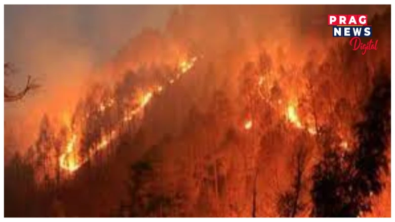 বনজুইক লৈ উত্তৰাখণ্ডৰ চৰকাৰক উচ্চতম ন্যায়ালয়ৰ প্ৰশ্ন- অগ্নি নিৰ্বাপক বাহিনীৰ বিষয়া-কৰ্মচাৰীক কিয় নিৰ্বাচনী কৰ্তব্যত নিয়োজিত কৰা হৈছিল?
