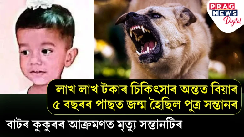 বহু প্ৰাৰ্থনা আৰু চিকিৎসাৰ অন্তত জন্ম হৈছিল সন্তানৰ! পিতৃ-মাতৃৰ বুকু উদং কৰি সন্তানৰ প্ৰাণ ল’লে কুকুৰে