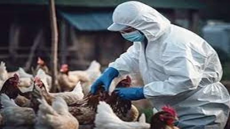 WHO confirms second human case of H9N2 bird flu virus: Symptoms and treatment