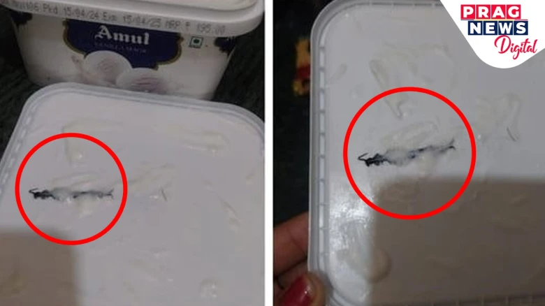 Bizzare! Noida woman finds 'Centipede' insect inside Amul Ice Cream tub ordered online