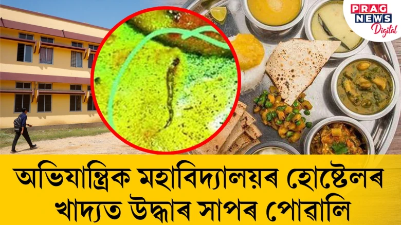 অভিযান্ত্ৰিক মহাবিদ্যালয়ৰ হোষ্টেলৰ খাদ্যত উদ্ধাৰ সাপৰ পোৱালি