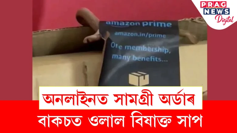 এমাজনত সামগ্ৰী অৰ্ডাৰ কৰিছিল মহিলাই! বাকচ খুলি পালে এটা জীয়া বিষাক্ত সাপ