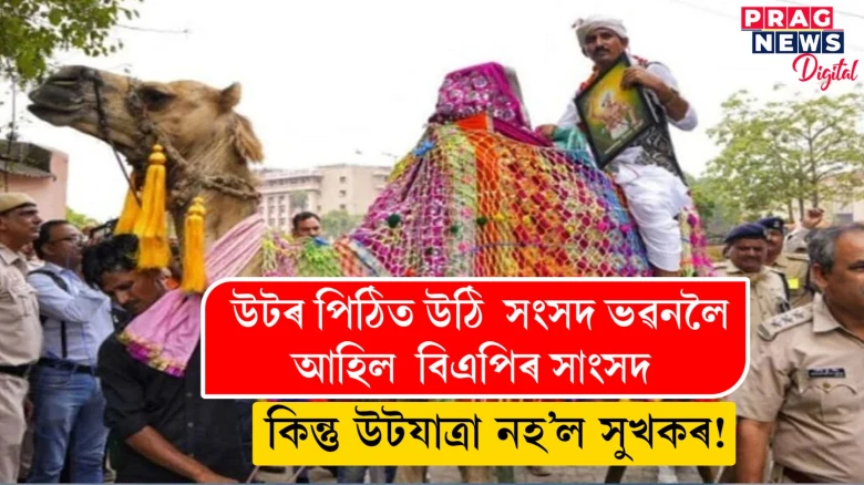 উটৰ পিঠিত উঠি  সংসদ ভৱনলৈ যাত্ৰা বিএপিৰ সাংসদৰ, কিন্তু উটযাত্ৰা নহ’ল সুখকৰ!