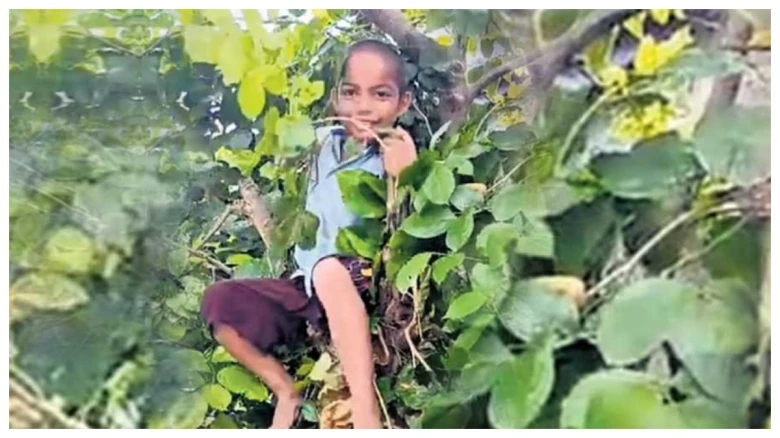 "মই স্কুললৈ নাযাওঁ"! স্কুলৰ শিক্ষকে ঘৰলৈ বিচাৰি আহিল এটি অঘাইটং শিশুক! ছবছৰীয়া শিশুটি উঠিলগৈ গছৰ ডালত
