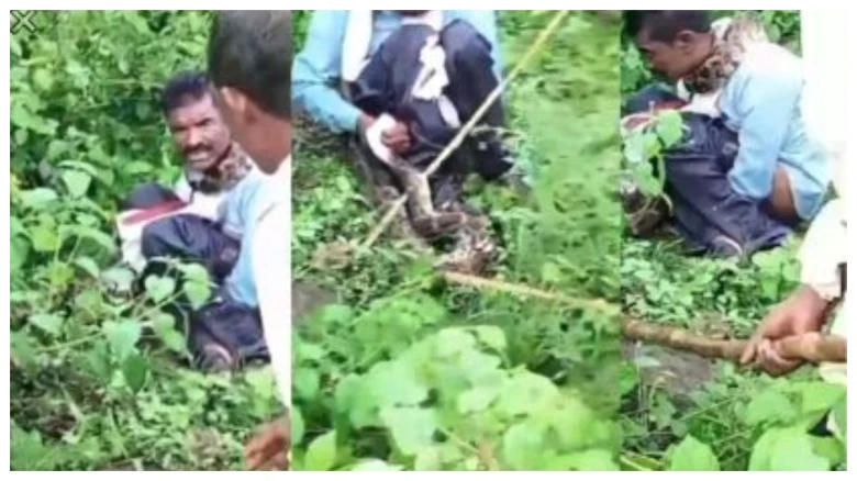 ডিঙি মেৰিয়াই ধৰিলে এডাল প্ৰকাণ্ড অজগৰে! তথাপিতো বাচি গ’ল এজন লোক! কেনেকৈ?