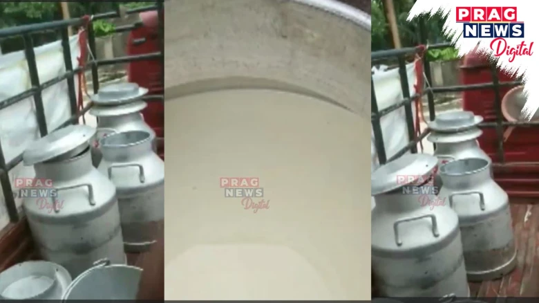 Milk fraud exposed: Guwahati people consuming adulterated milk sold as pure cow milk