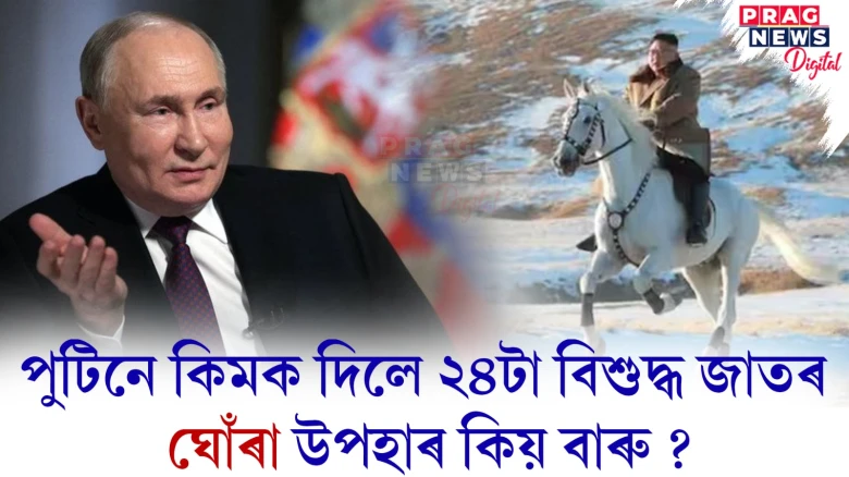 কিয় পুটিনে কিমক দিলে ২৪টা বিশুদ্ধ জাতৰ ঘোঁৰাৰ উপহাৰ ?