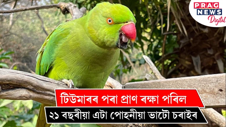 টিউমাৰৰ পৰা প্ৰাণ ৰক্ষা পৰিল, ২১ বছৰীয়া এটা পোহনীয়া ভাটৌ চৰাইৰ