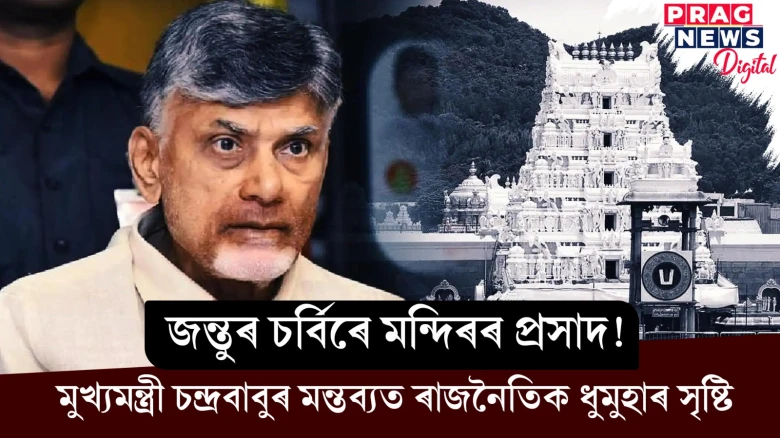 জন্তুৰ চৰ্বিৰে মন্দিৰৰ প্ৰসাদ ! মুখ্যমন্ত্ৰী চন্দ্ৰবাবুৰ মন্তব্যত ৰাজনৈতিক ধুমুহাৰ সৃষ্টি