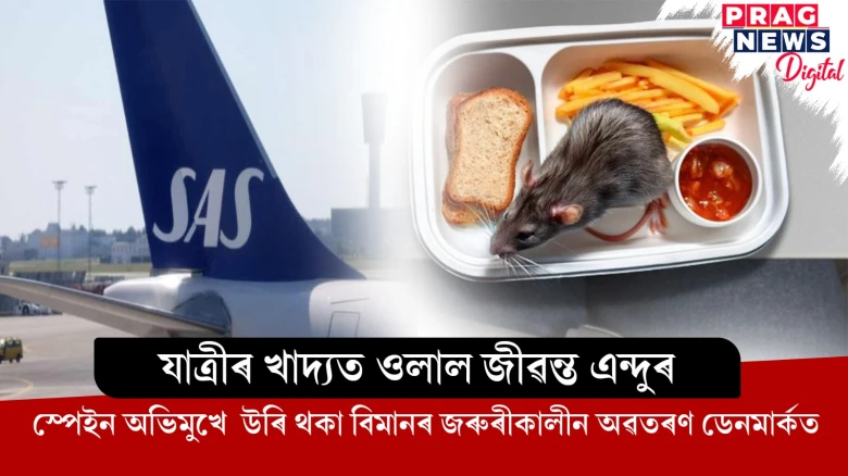 যাত্ৰীৰ খাদ্যত ওলাল জীৱন্ত এন্দুৰ ; স্পেইন অভিমুখে  উৰি থকা বিমানৰ জৰুৰীকালীন অৱতৰণ ডেনমাৰ্কত