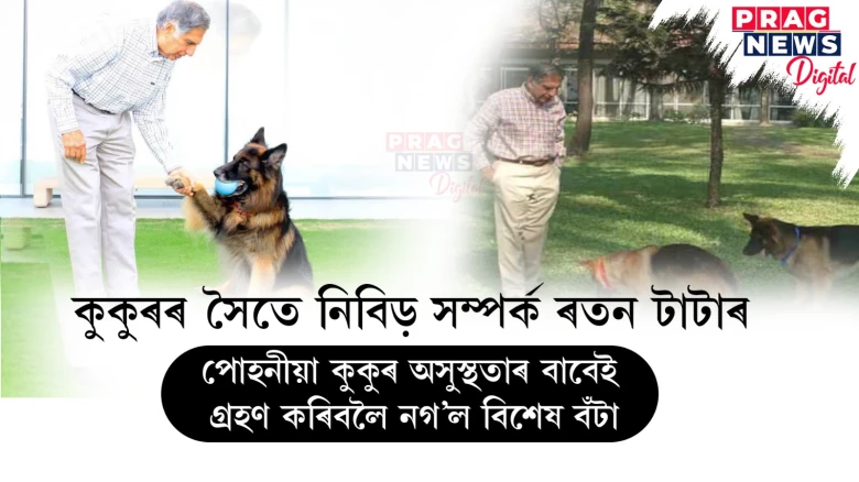 কুকুৰৰ সৈতে নিবিড় সম্পৰ্ক ৰতন টাটাৰ ! পোহনীয়া কুকুৰ অসুস্থতাৰ বাবেই গ্ৰহণ কৰিবলৈ নগ’ল বিশেষ বঁটা