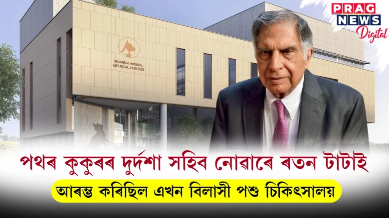 পথৰ কুকুৰৰ দুৰ্দশা সহিব নোৱাৰে ৰতন টাটাই ; আৰম্ভ কৰিছিল এখন বিলাসী পশু চিকিৎসালয়