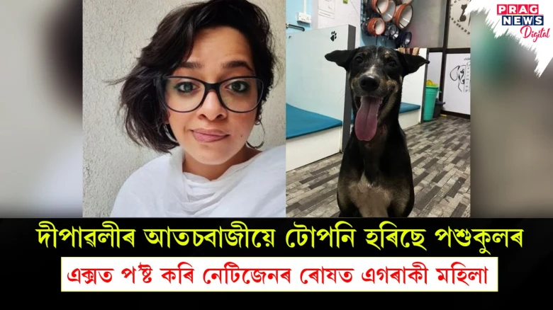 দীপাৱলীৰ আতচবাজীয়ে টোপনি হৰিছে পশুকুলৰ; এক্সত প’ষ্ট কৰি নেটিজেনৰ ৰোষত এগৰাকী মহিলা