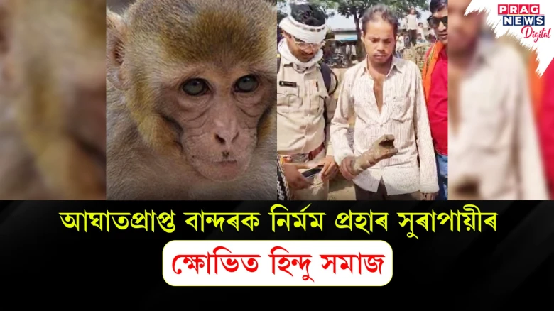 আঘাতপ্ৰাপ্ত বান্দৰক নিৰ্মম প্ৰহাৰ সুৰাপায়ীৰ ; ক্ষোভিত হিন্দু সমাজ
