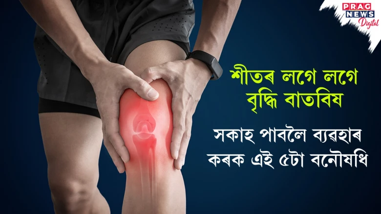 শীতৰ লগে লগে বৃদ্ধি বাতবিষ সকাহ পাবলৈ ব্যৱহাৰ কৰক এই ৫টা বনৌষধি