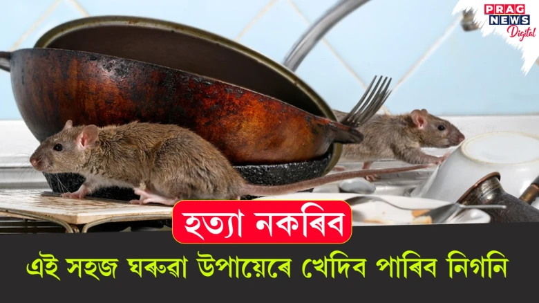 নিগনি সহজতে দূৰ কৰা ঘৰুৱা উপায়