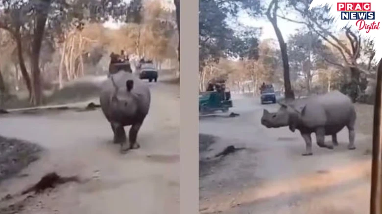 Mother-Daughter Duo Fall In Front Of Rhinoceros In Kaziranga National Park