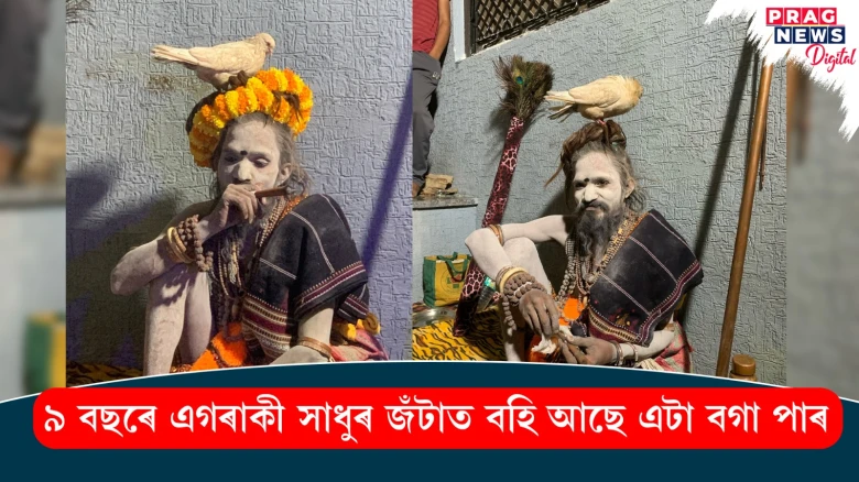 ৯ বছৰে এগৰাকী সাধুৰ জঁটাত বহি আছে এটা বগা পাৰ