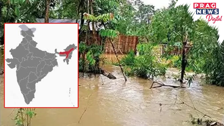 Climate Change: Assam Among 6 States Vulnerable To Climate Variations