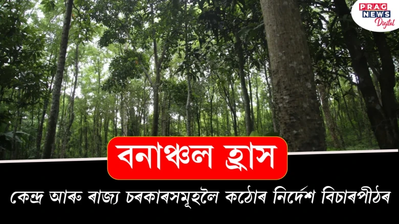 বনাঞ্চল হ্ৰাস! কেন্দ্র আৰু ৰাজ্য চৰকাৰসমূহলৈ কঠোৰ নিৰ্দেশ বিচাৰপীঠৰ