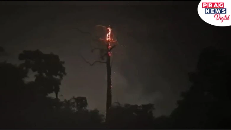 Mystery Fire Engulfs 150-Year-Old Tree in Howly