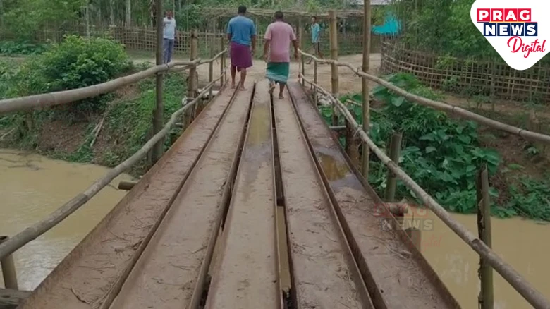 Assam Village Still Struggles with Makeshift Bridge After 78 Years of Independence