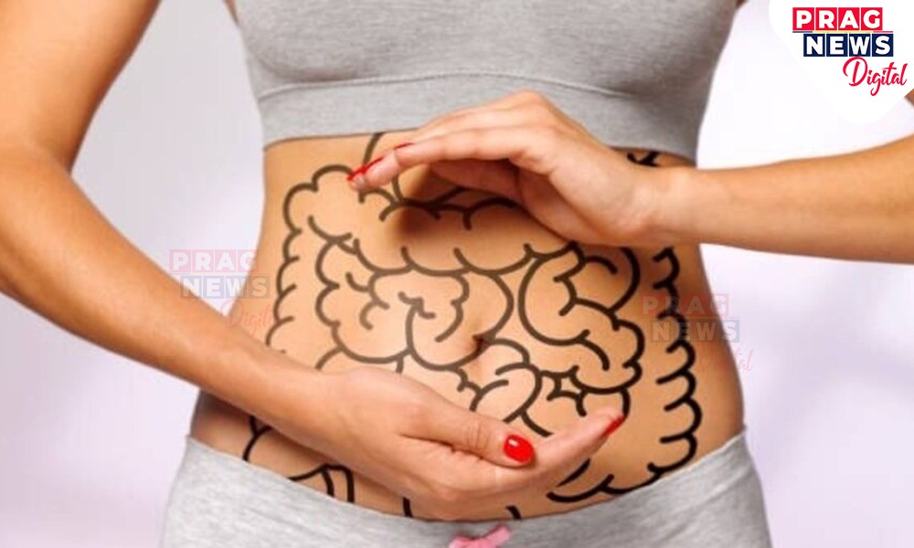 এই ৩ টা বনৌষধি পেটৰ বাবে অতি উপকাৰী