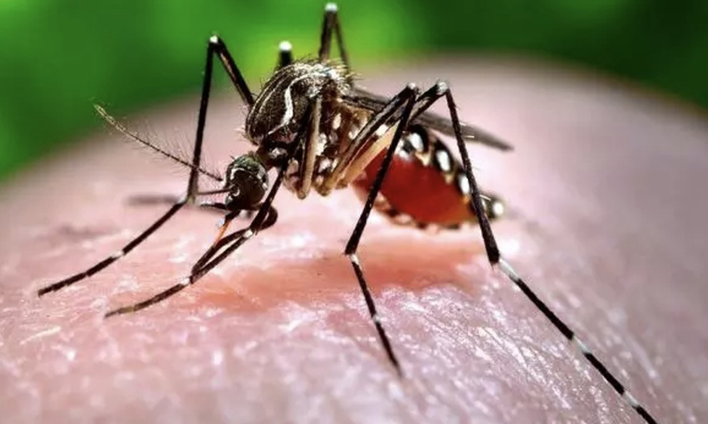 Spike in Japanese Encephalitis Cases Alarms Guwahati: GMCH Reports Rising Toll