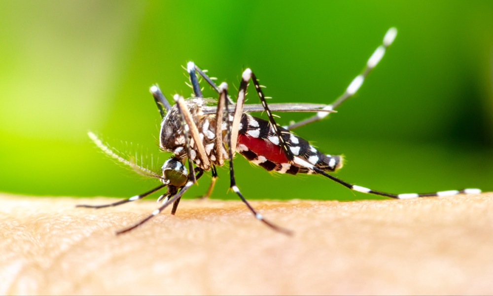 মঙলদৈত জাপানীজ এনকেফেলাইটিছৰ সন্ত্ৰাস