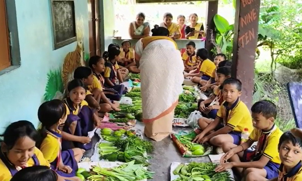 Students Transformed School into Vibrant Vegetable Market