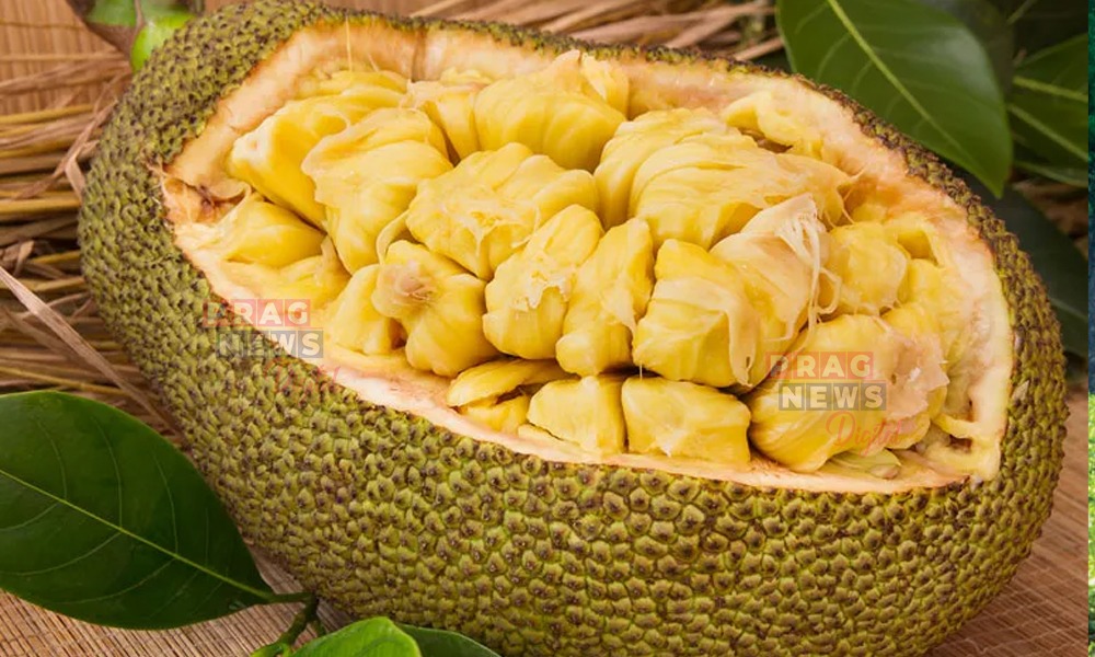 কঁঠাল খাওক, লাভ কৰিব আচৰিত উপকাৰিতা