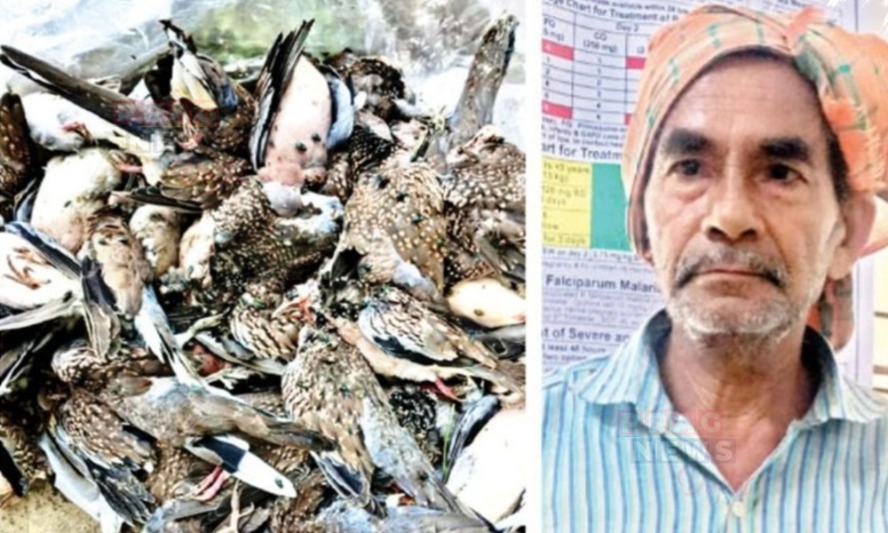 আমৃখোৱাত বিহ দি কপৌ নিধন কৰা কৃষকক জে'ললৈ