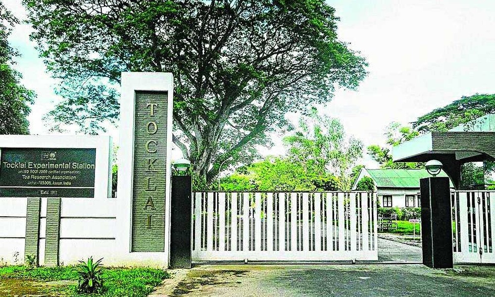 অসমত থকাৰ বাবেই কেন্দ্ৰীয় চৰকাৰৰ স্বীকৃত নহ'ল টোকোলাই চাহ গৱেষণা কেন্দ্র
