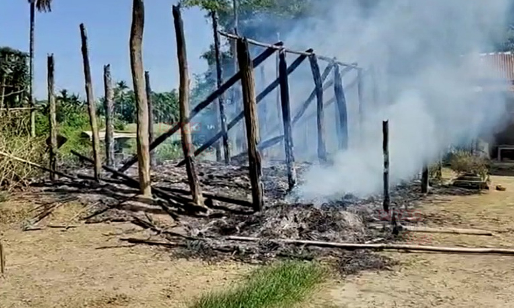 Land Dispute Takes Violent Turn: Over 100 Trees Cut Down in Goalpara