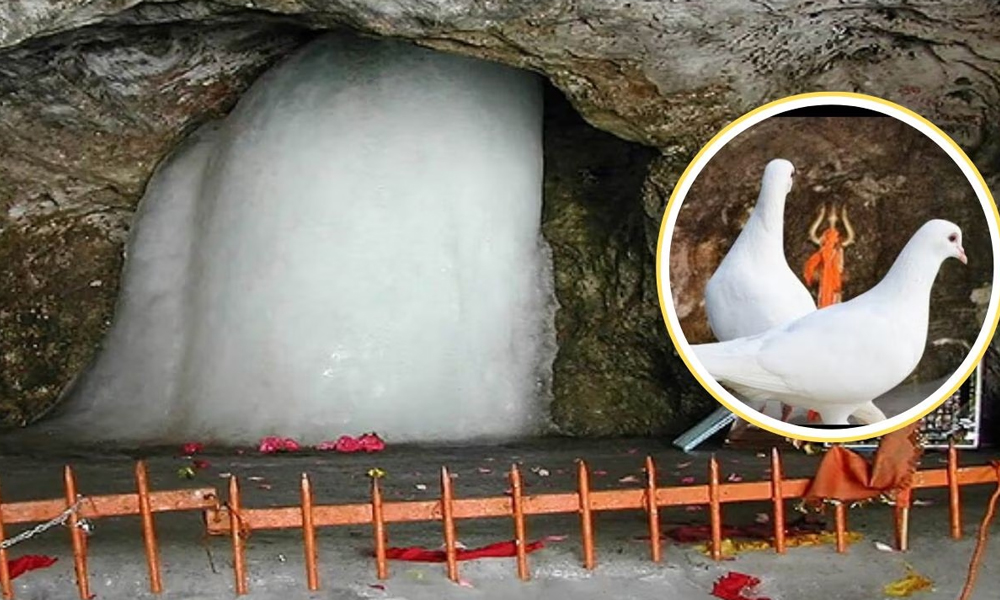 অমৰনাথ গুহাত পাৰযোৰৰ ৰহস্য আঁৰৰ বিষয়ে জানো আহক..