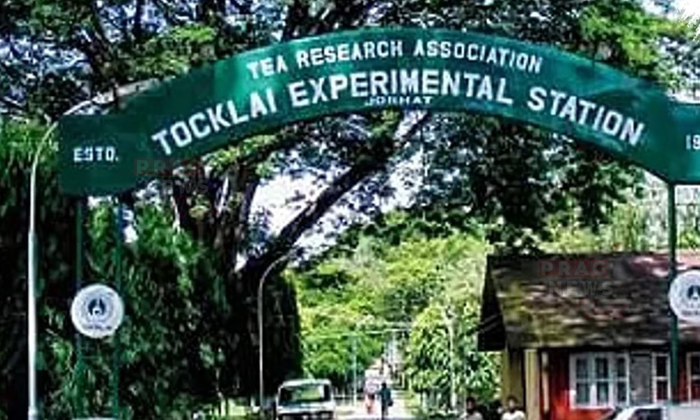 কেন্দ্ৰৰ বঞ্চনাত বন্ধ হ'ল টোকোলাই চাহ গৱেষণা কেন্দ্ৰৰ দুটাকৈ গুৰুত্বপূৰ্ণ বিভাগ