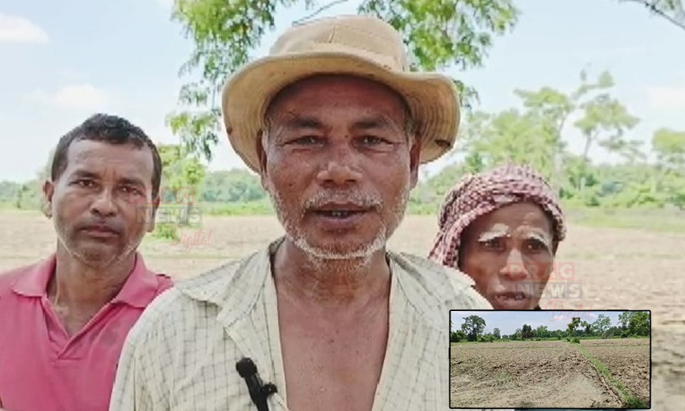 ধোঁৱাচাঙত ৰাজ্যৰ জলসিঞ্চন বিভাগ ; কামপুৰত বতৰৰ ওপৰত নিৰ্ভৰশীল কৃষকে ৰুব পৰা নাই ভূঁই