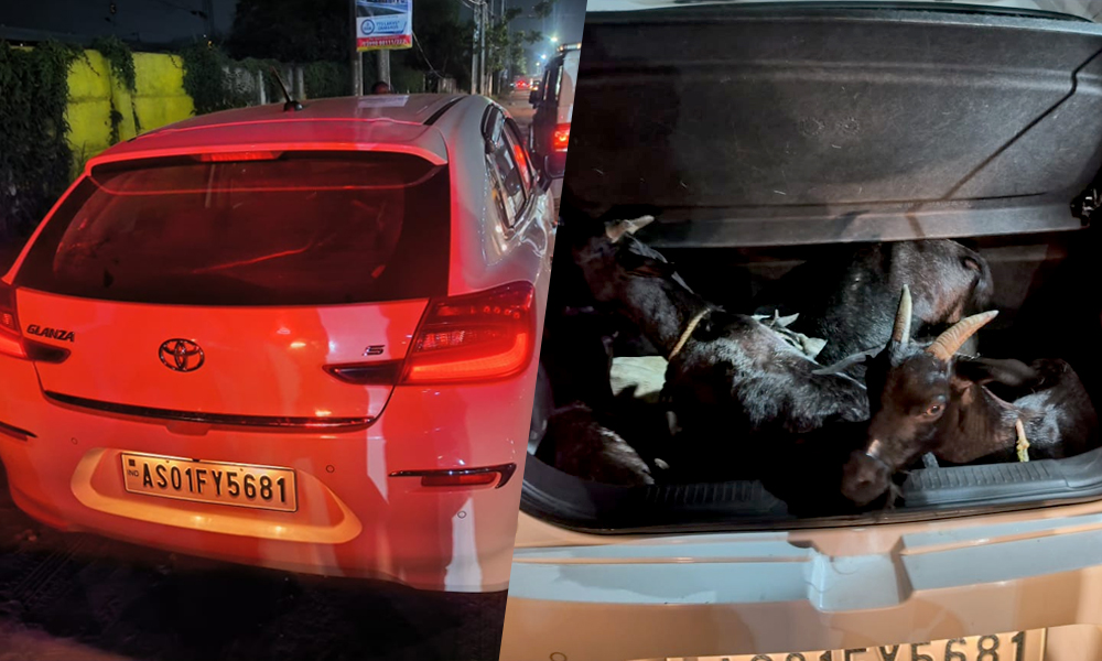Stolen Goats and Luxury Vehicle Seized in Noonmati Theft Case