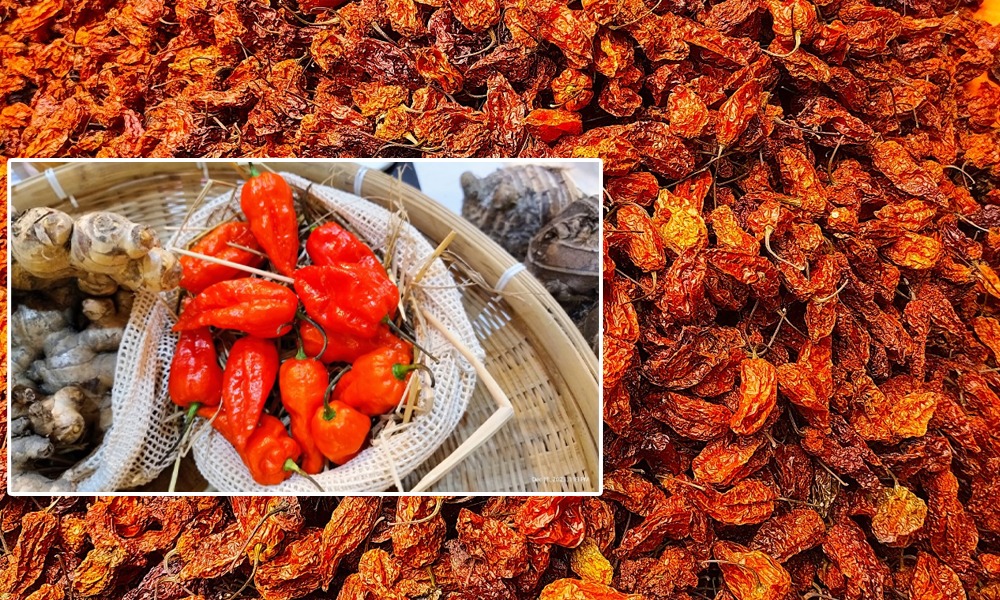 অসমৰ ভোট জলকীয়াৰ বিশ্বমুখী যাত্ৰা! বহিঃৰাষ্ট্ৰলৈ ১ কোটি টকাৰ ৰপ্তানি