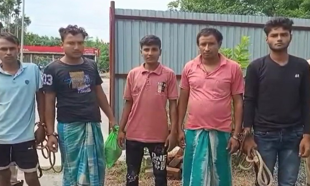 Large Gang of Cattle Smugglers Arrested in Kaliabor-Samaguri