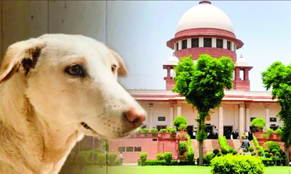 কুকুৰৰ পুনৰবাসনৰ আৱেদন বিবেচনাৰ আশ্বাস মুখ্য ন্যায়াধীশৰ