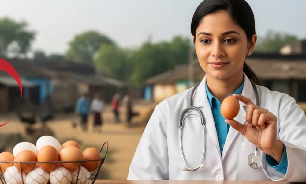 বাৰ্ড ফ্লু হ’লে কণী খাব পাৰি নে? ই কিমান নিৰাপদ?