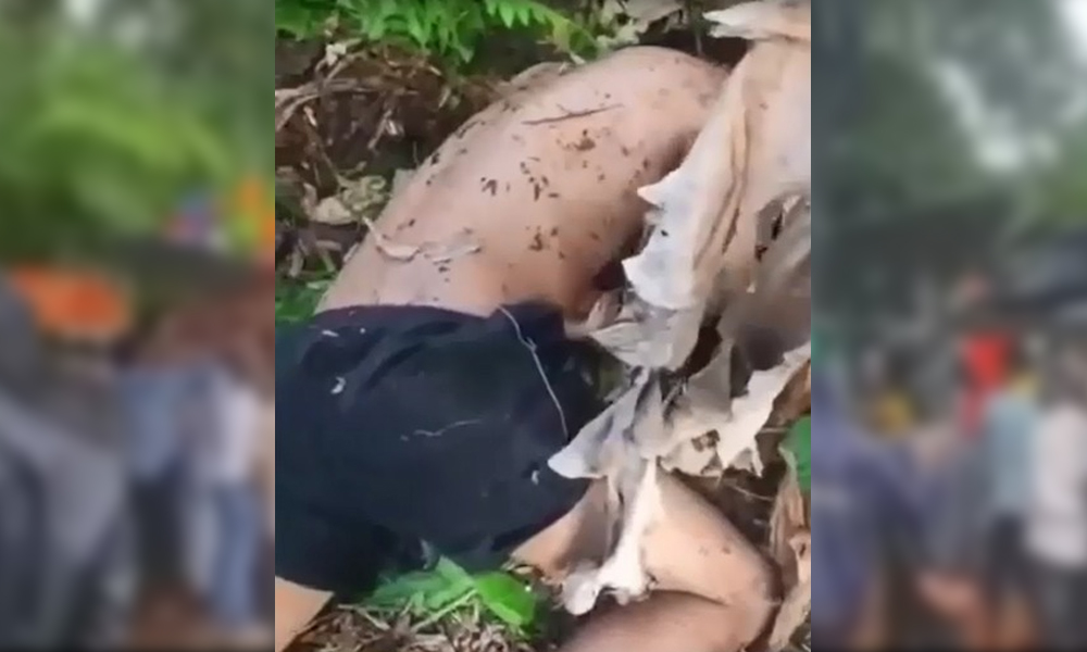 Viral Video Shows Youth Pleading for Water Before Alleged Mob Lynching Death