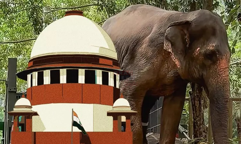 'বনতাৰা'ৰ তদন্তৰ বাবে SIT গঠন উচ্চতম ন্যায়ালয়ৰ