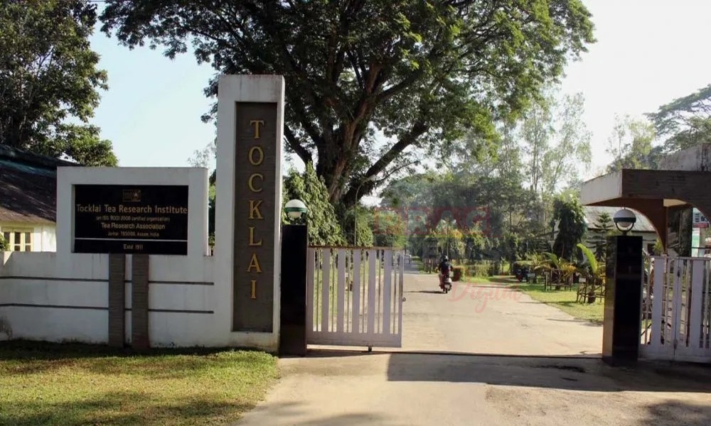 ভয়ংকৰ আৰ্থিক সংকট! লীজত দিব টোকোলাইৰ ঐতিহাসিক ভৱন