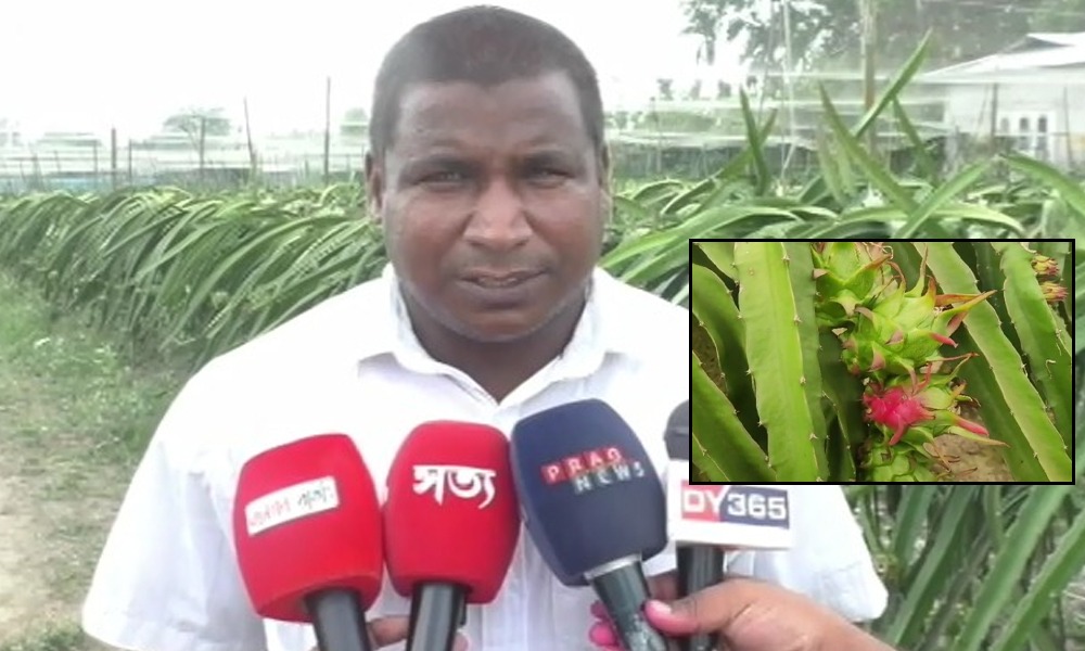 দলগাঁৱত ড্ৰেগন খেতি কৰি স্বাৱলম্বী জৰীপ আলী