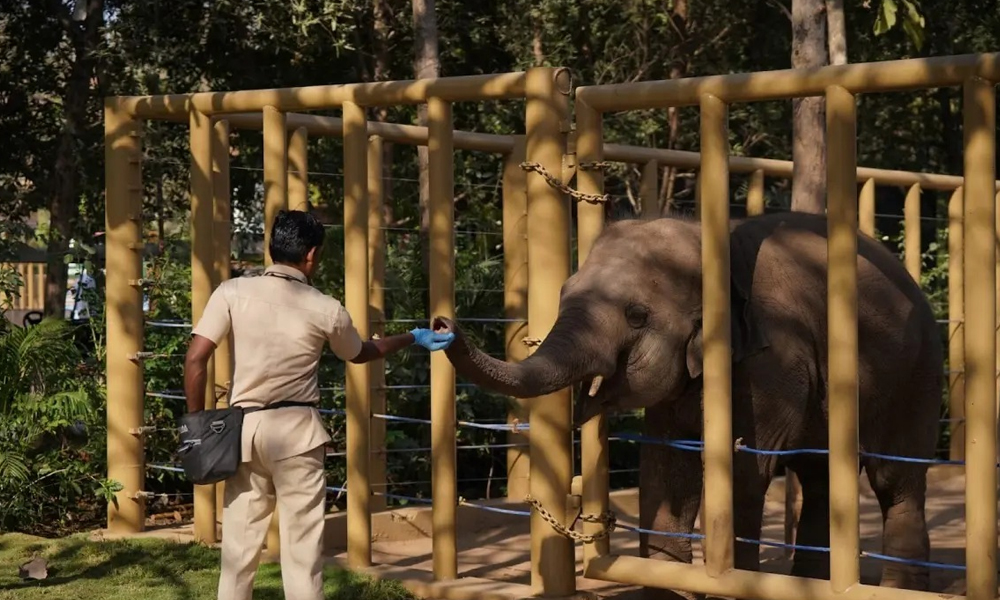 Vantara Redefines Global Standards in Animal Welfare