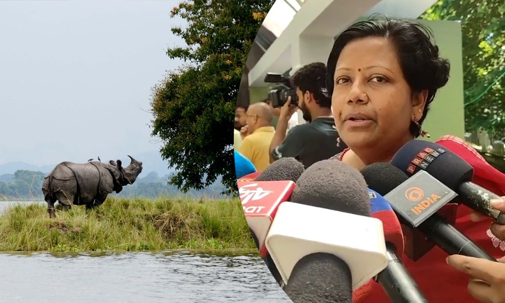 কাইলৈৰ পৰা পৰ্যটকৰ বাবে মুকলি হ'ব কাজিৰঙা ৰাষ্ট্ৰীয় উদ্যান
