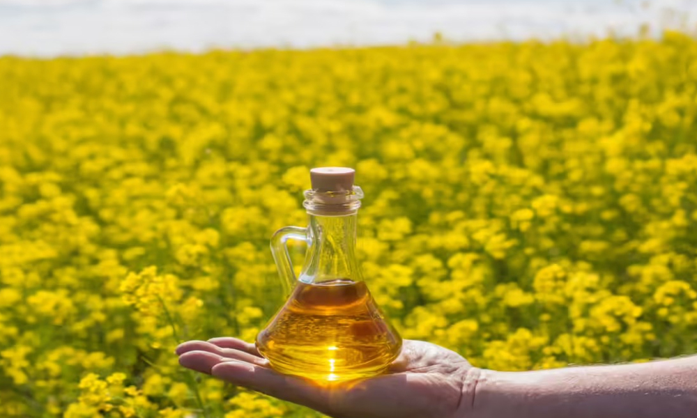 Is Your Mustard Oil Pure or Adulterated? 3 Simple Home Tests to Check Authenticity