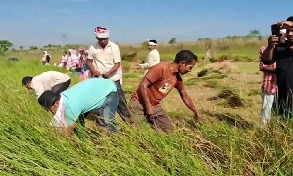 BREAKING NEWS চিত্ৰ